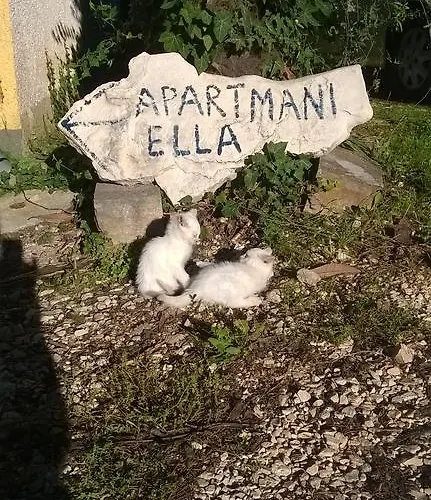 Ella Porec