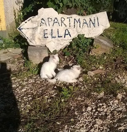 Ella Poreč
