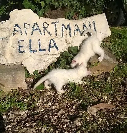 Apartman Ella Poreč